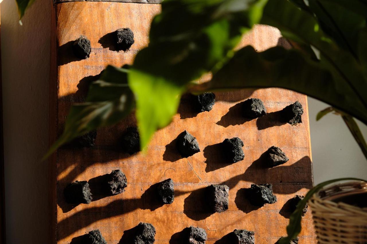 Ecofinca Aulaga Masdache Luaran gambar
